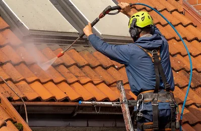 Démoussage et hydrofuge de toiture à Rouillon